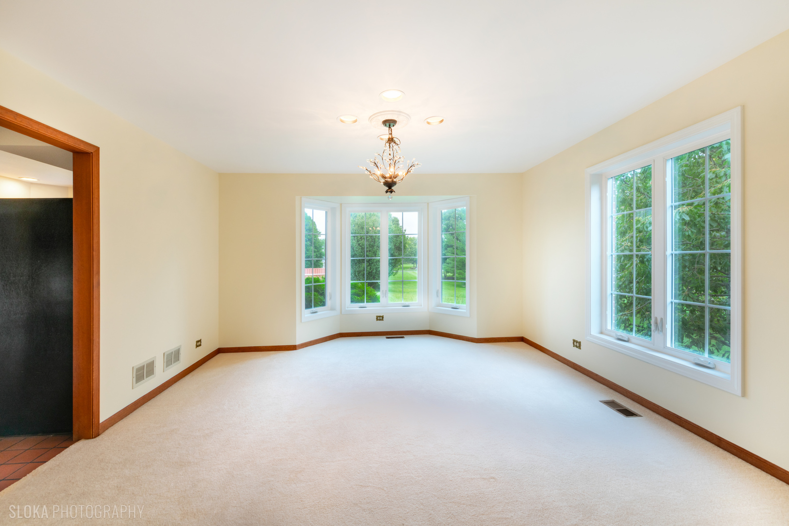 10410 Saddlebred Trail Property Photo 6