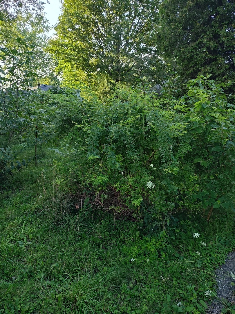 10802 W York House Road Property Photo 6