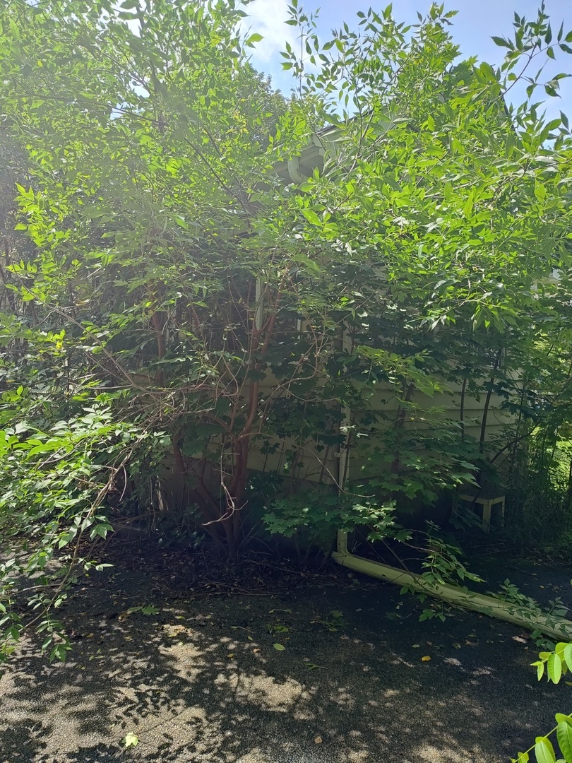10802 W York House Road Property Photo 7