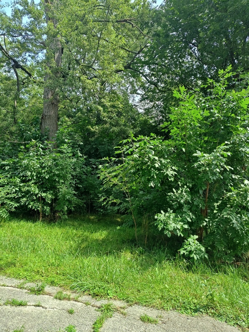 10802 W York House Road Property Photo 40