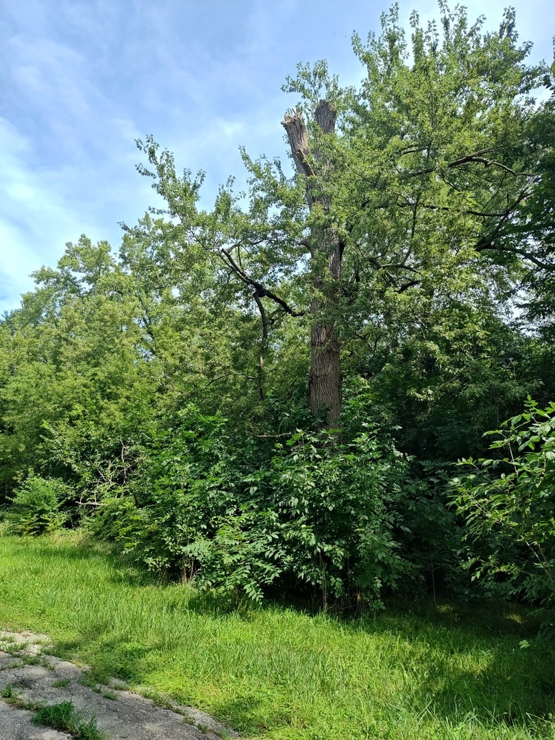10802 W York House Road Property Photo 42