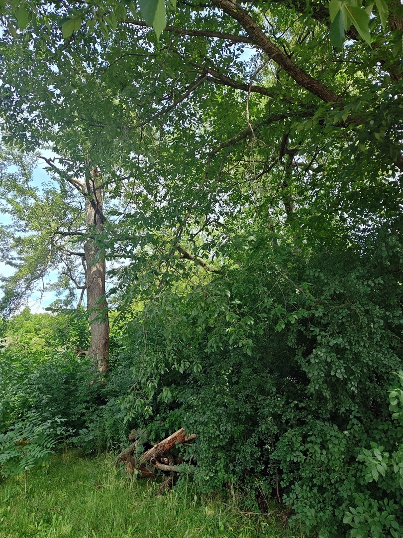 10802 W York House Road Property Photo 44
