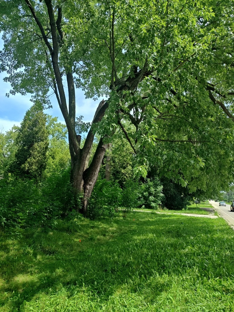 10802 W York House Road Property Photo 45