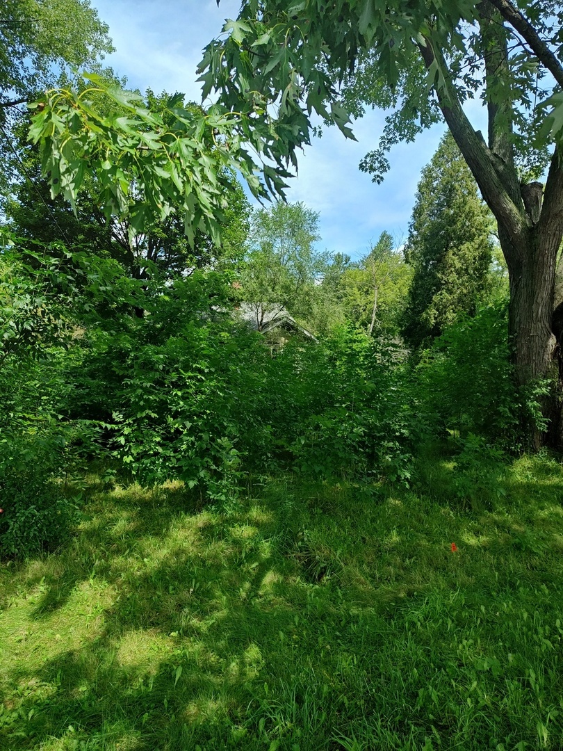 10802 W York House Road Property Photo 46