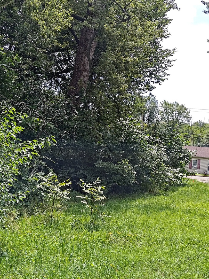 10802 W York House Road Property Photo 53
