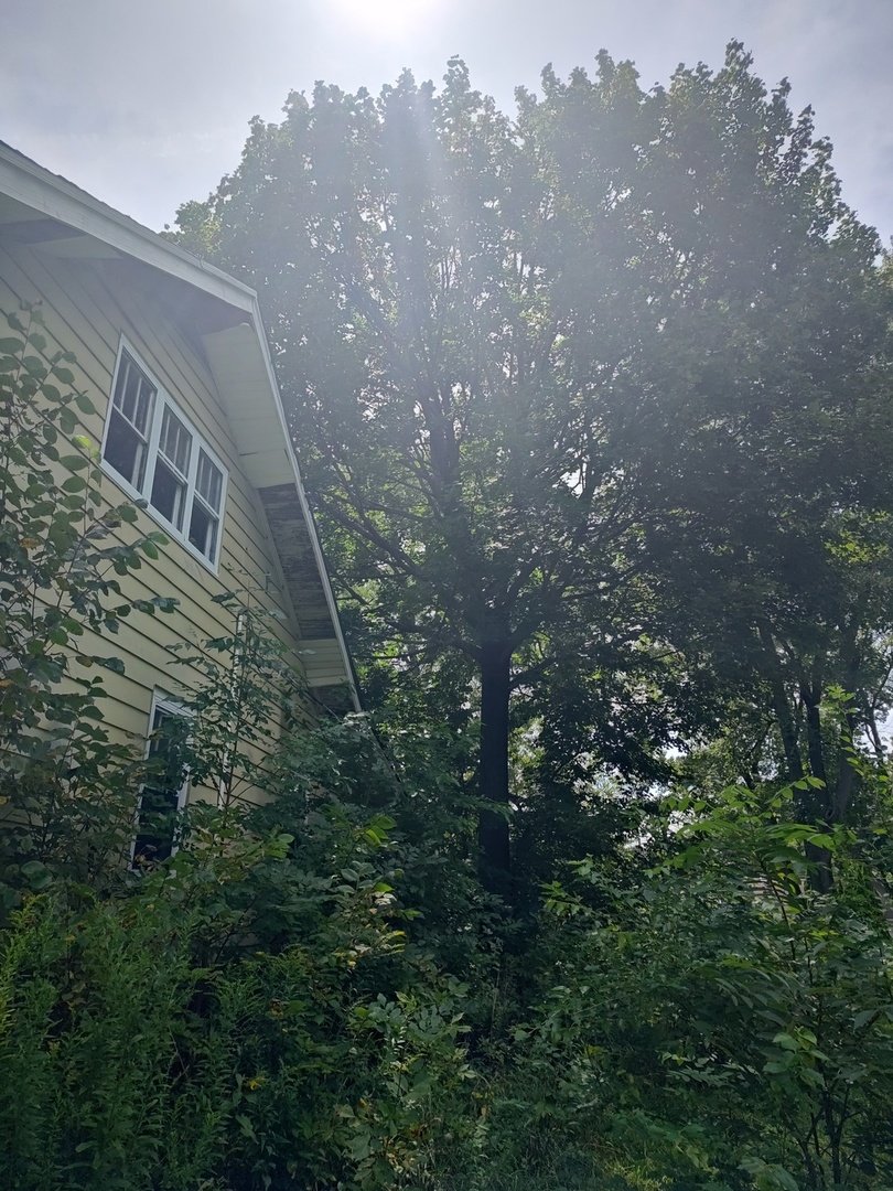 10802 W York House Road Property Photo 55