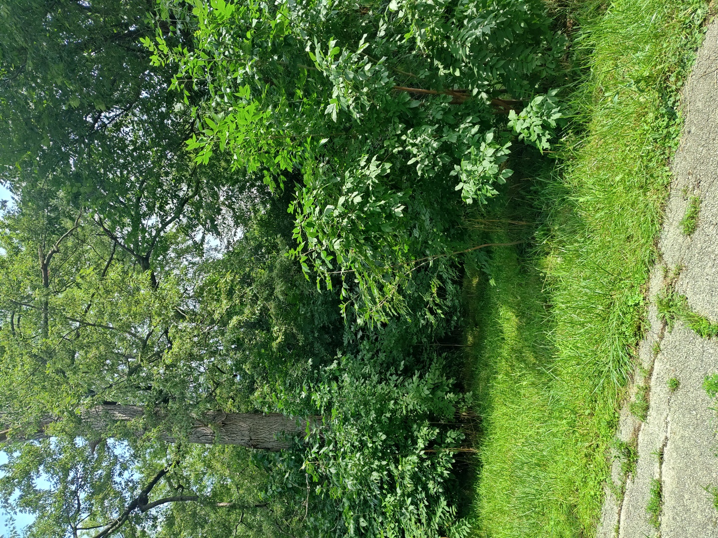 10802 W York House Road Property Photo 58