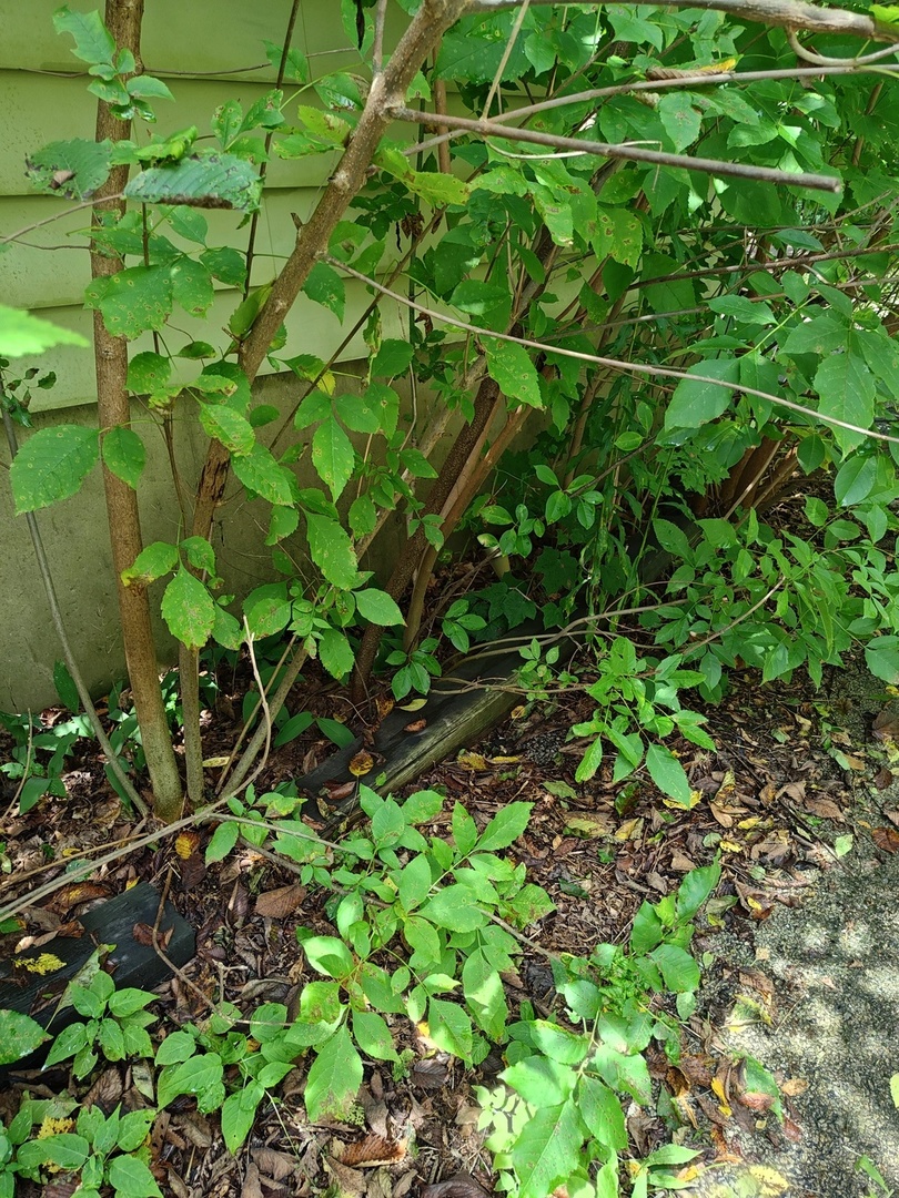 10802 W York House Road Property Photo 60
