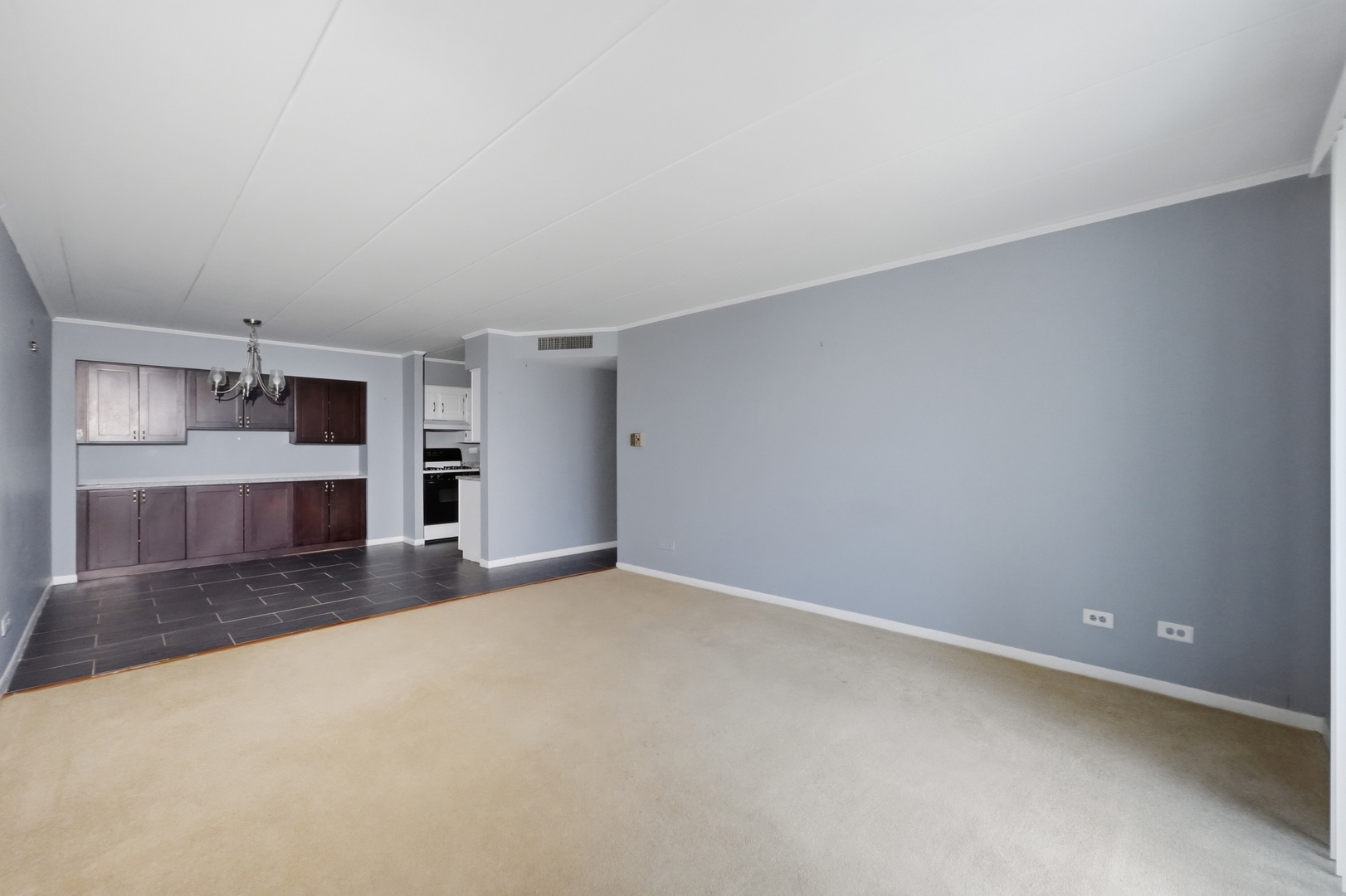 300 S Roselle Road 522 Property Photo 19
