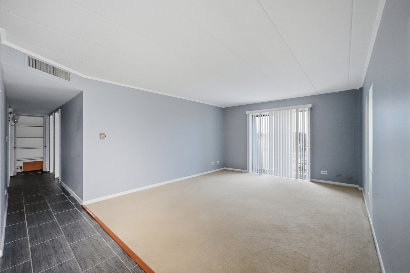 300 S Roselle Road 522 Property Photo 21