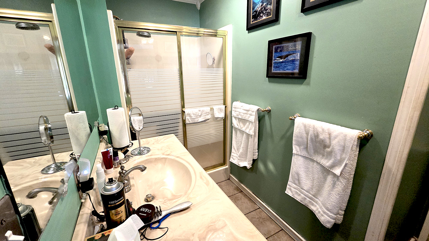 18 Bonanza Drive Property Photo 30