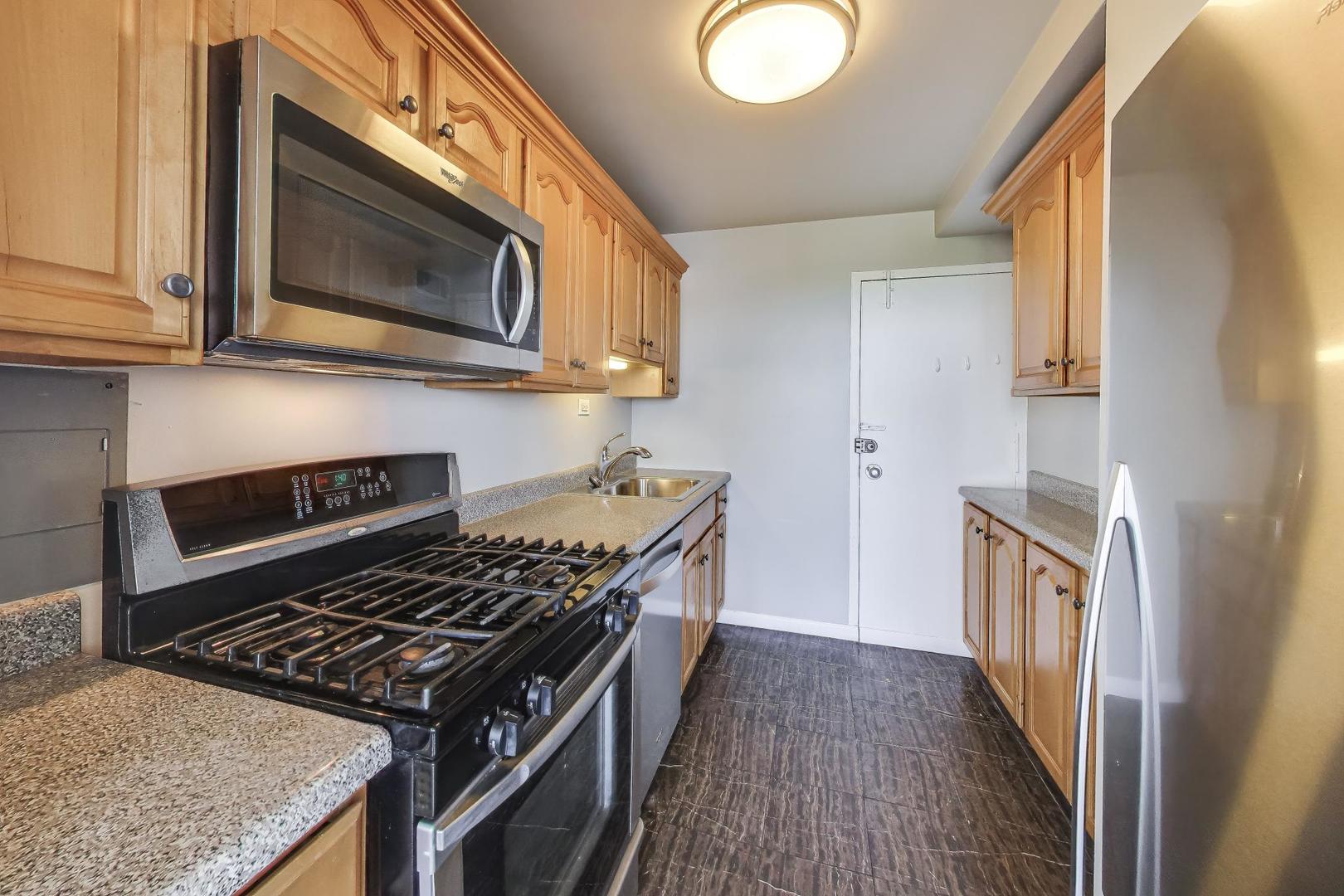 3950 N Lake Shore Drive 2202 Property Photo 7