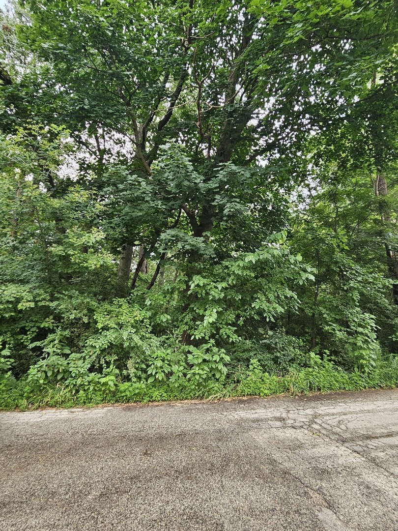 35 Ridgeland Avenue Property Photo 1