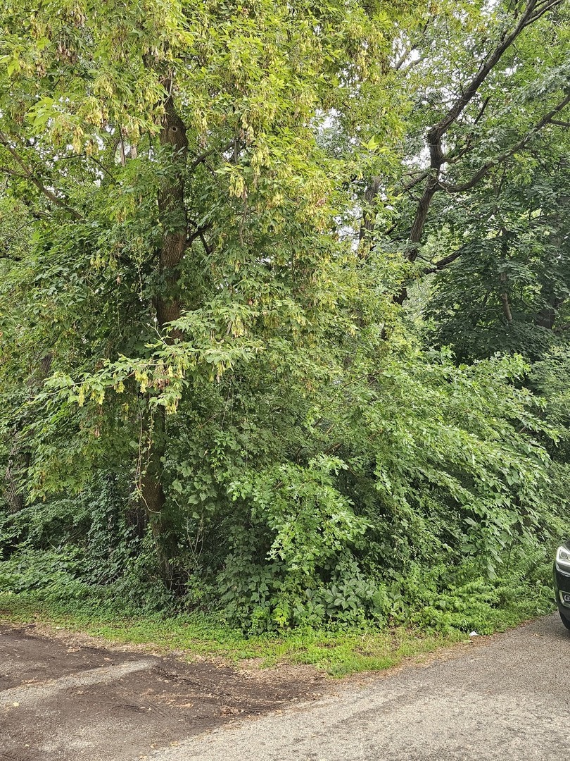 35 Ridgeland Avenue Property Photo 2