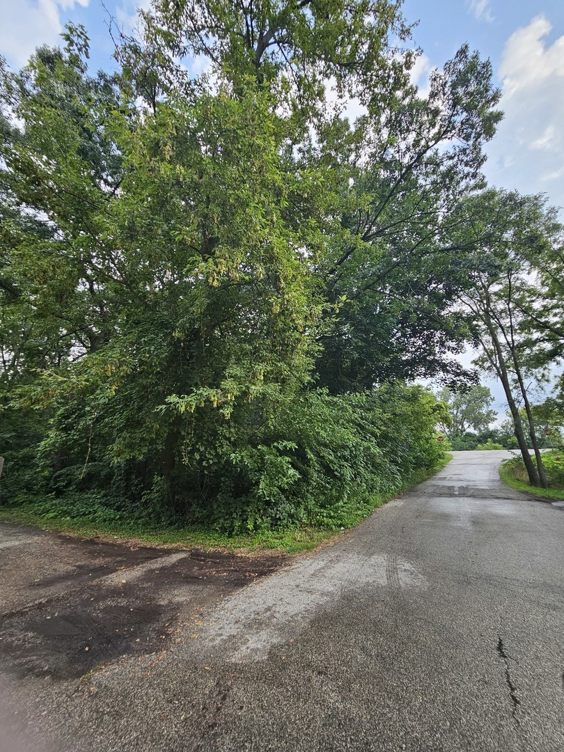 35 Ridgeland Avenue Property Photo 4