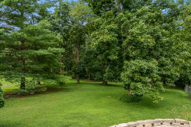 16557 Grove Creek Circle Property Photo 56