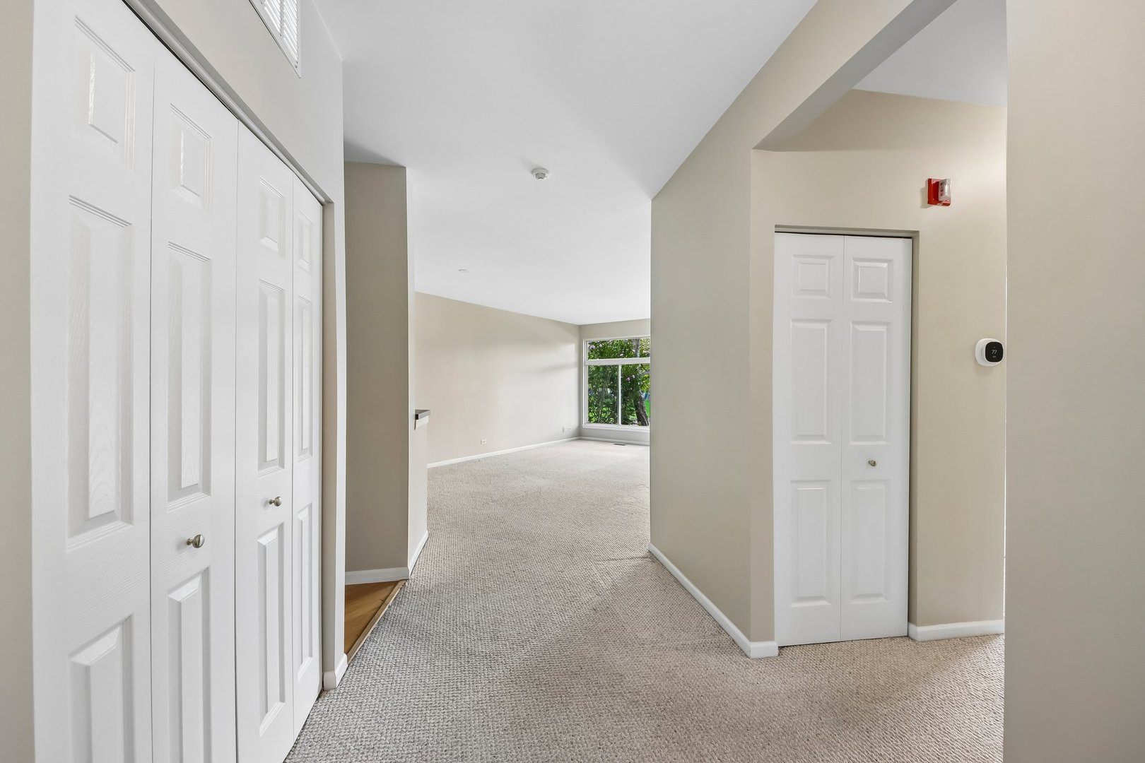 1016 Spring Court Property Photo 5