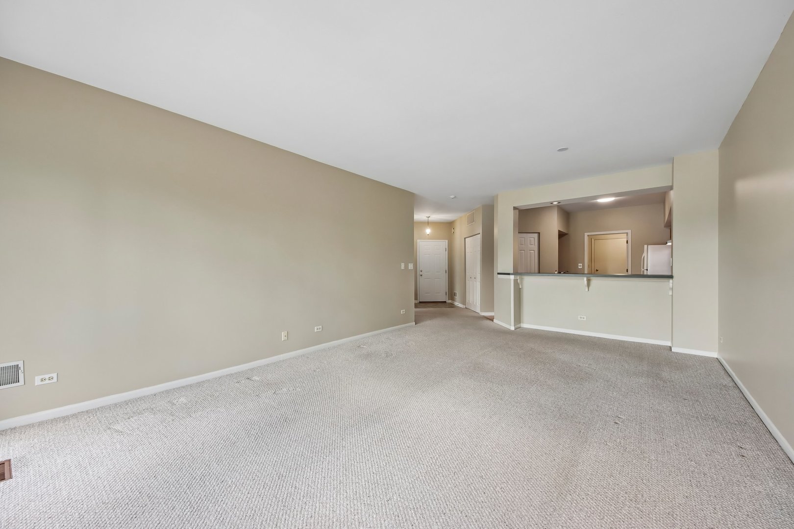 1016 Spring Court Property Photo 8