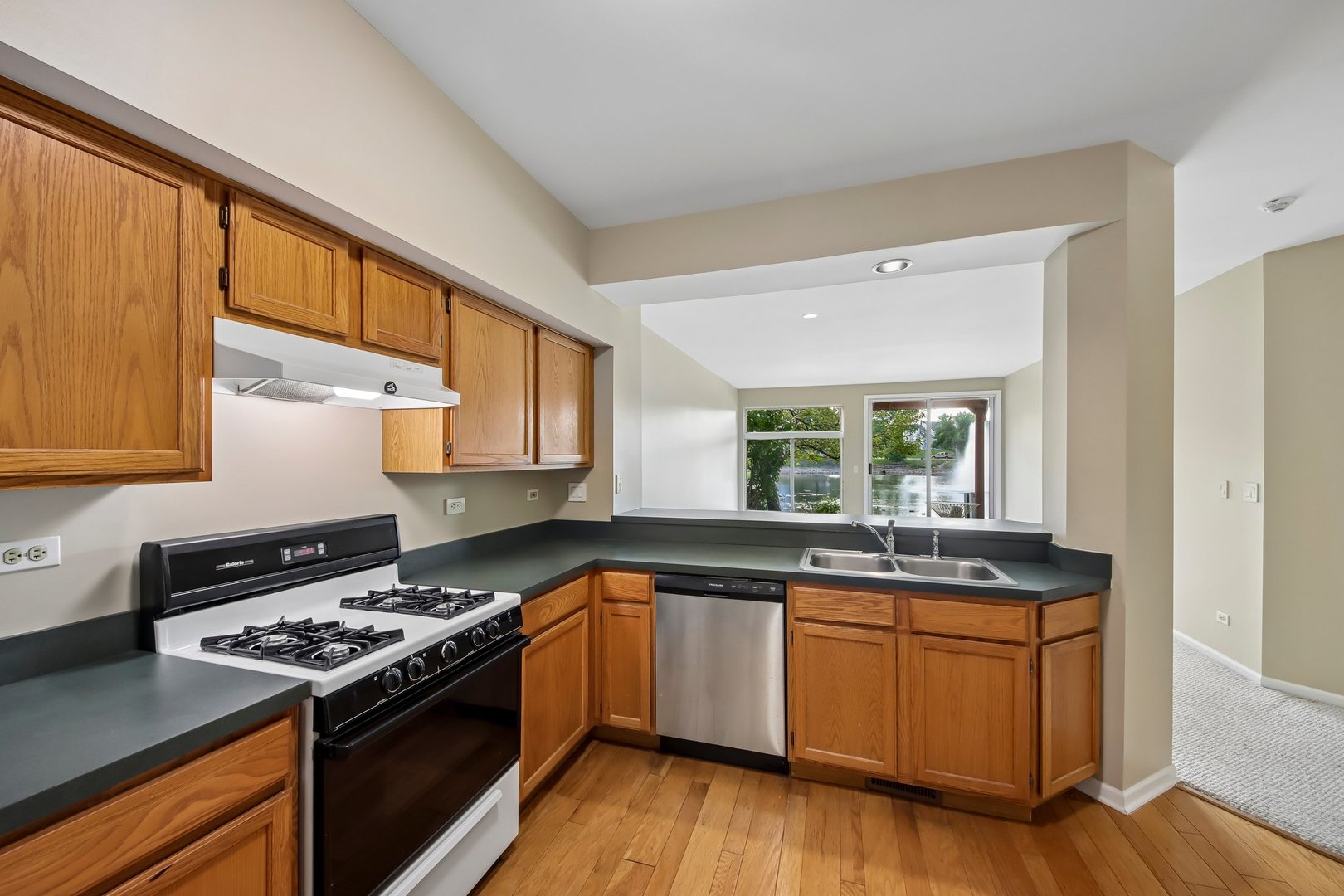 1016 Spring Court Property Photo 12