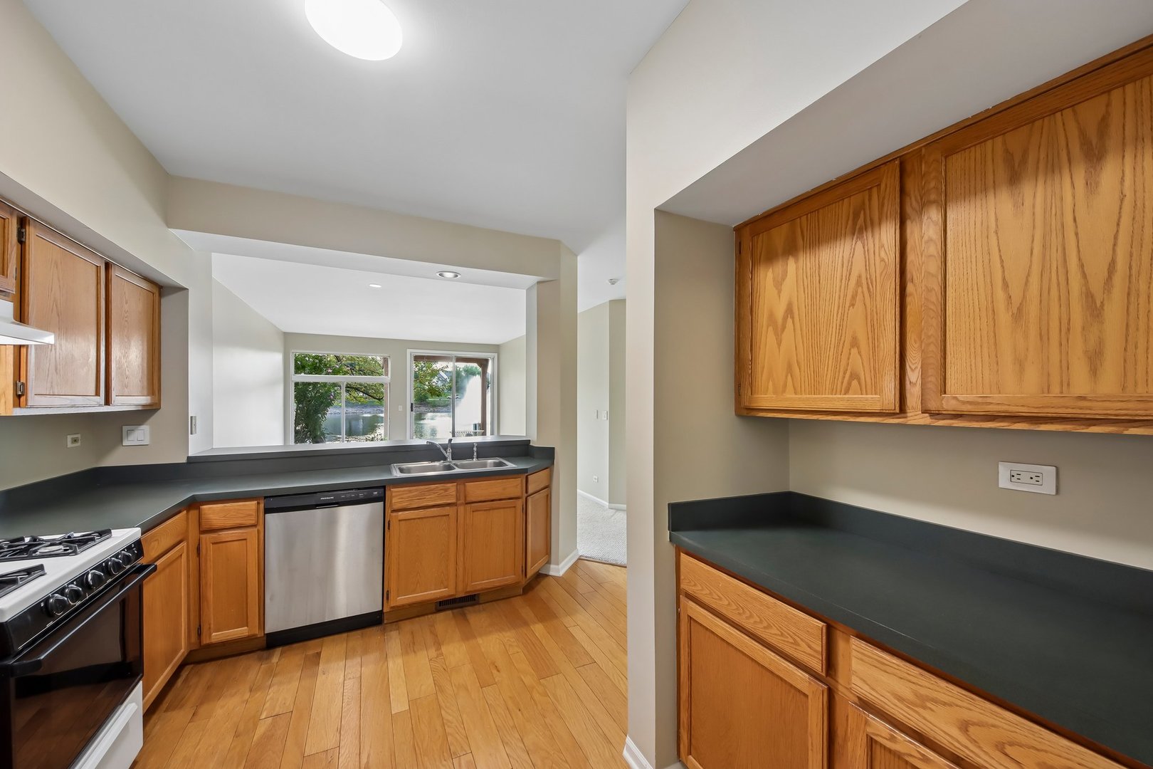 1016 Spring Court Property Photo 13