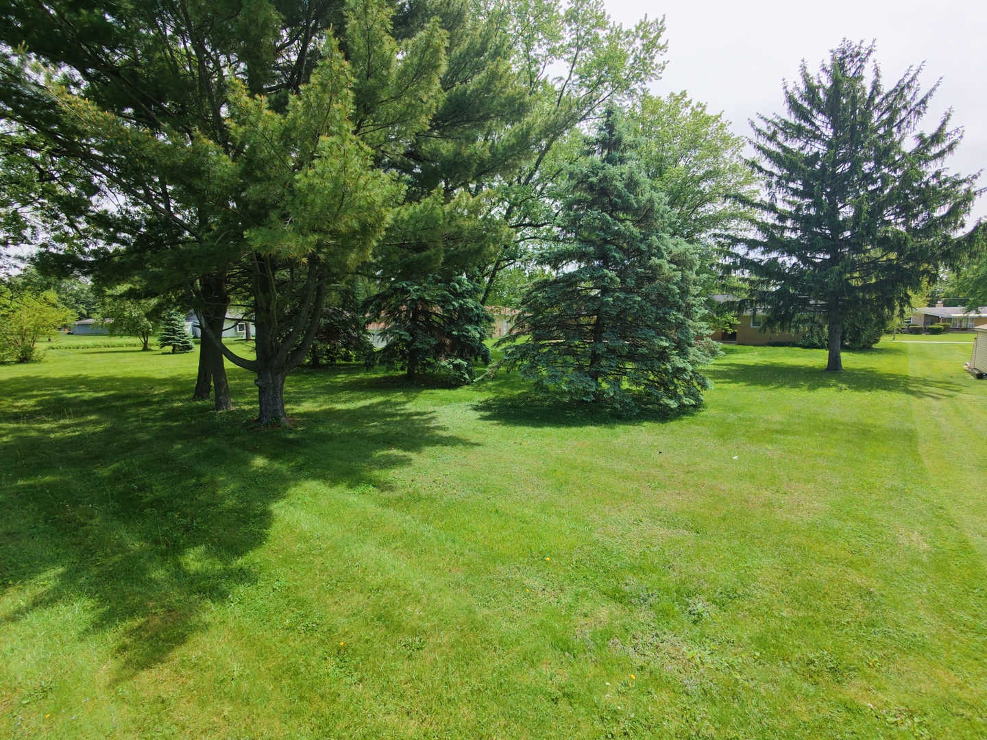 3256 Otto Street Property Photo 4