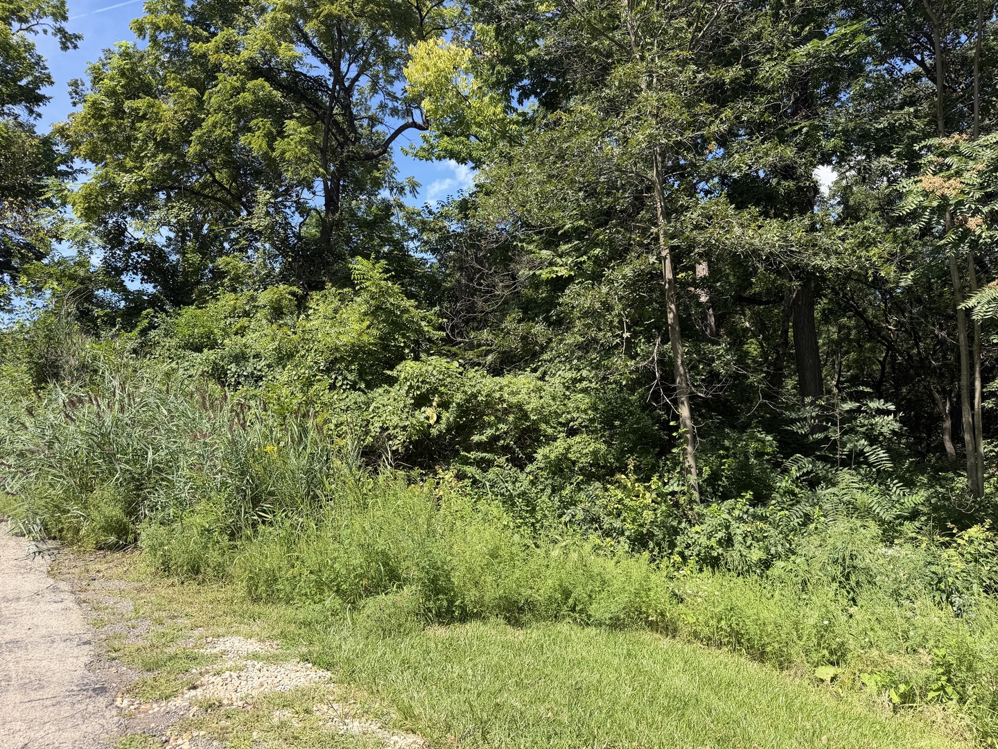 200 Richards Street Property Photo 2