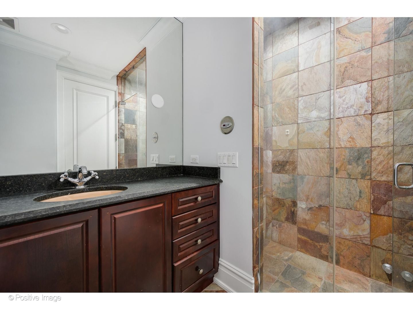 545 W Aldine Avenue 6e Property Photo 28