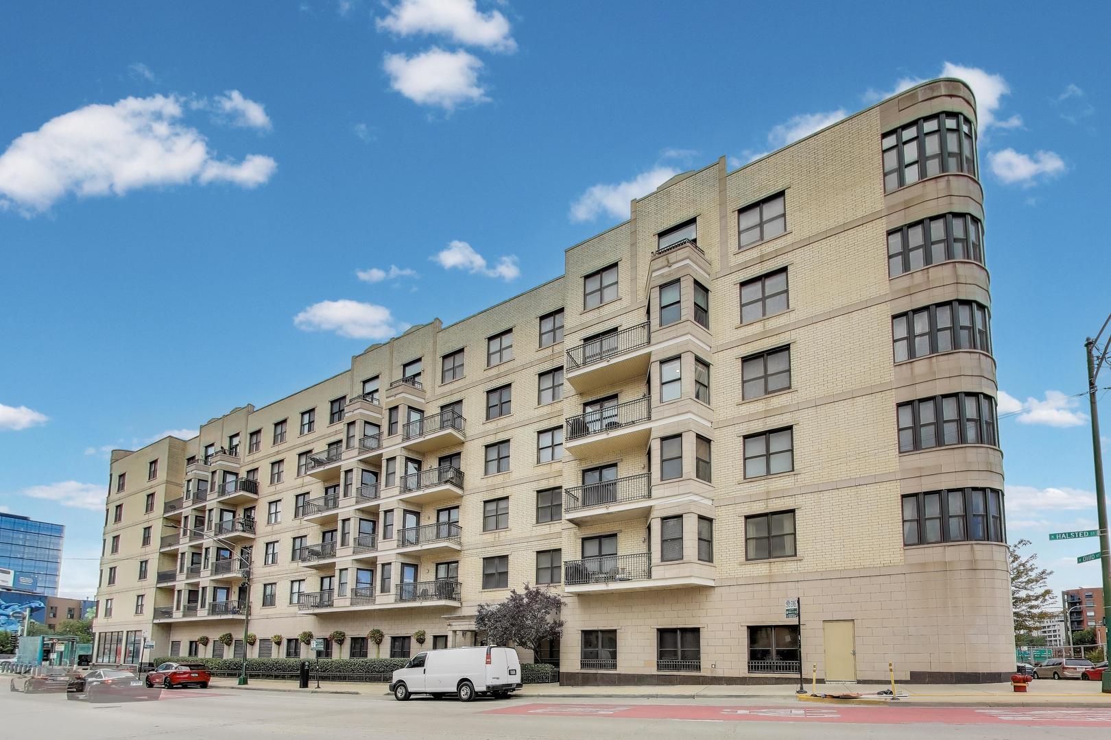 520 N Halsted Street 411 Property Photo 1