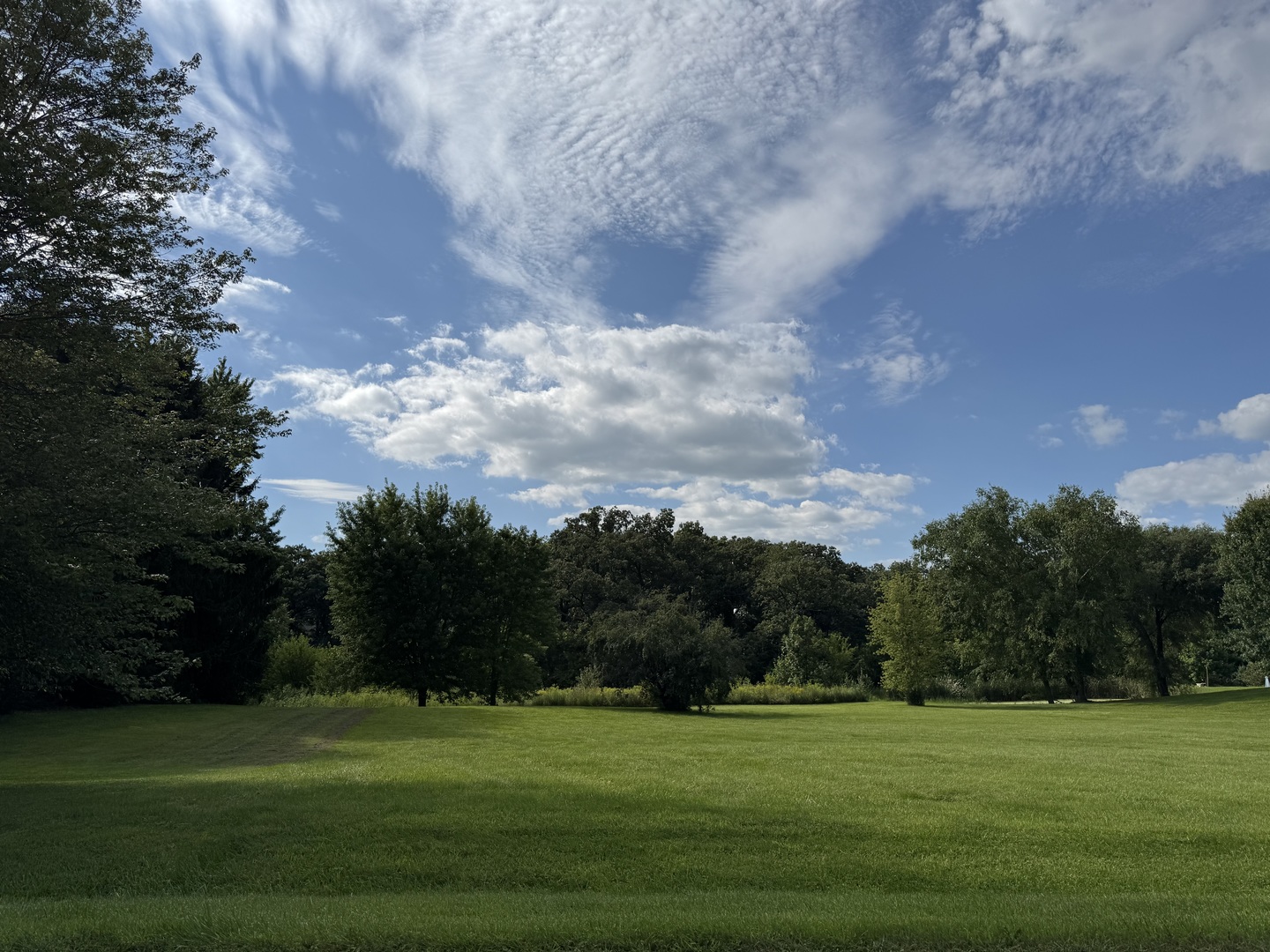 5s390 Deer Ridge Path Property Photo 2