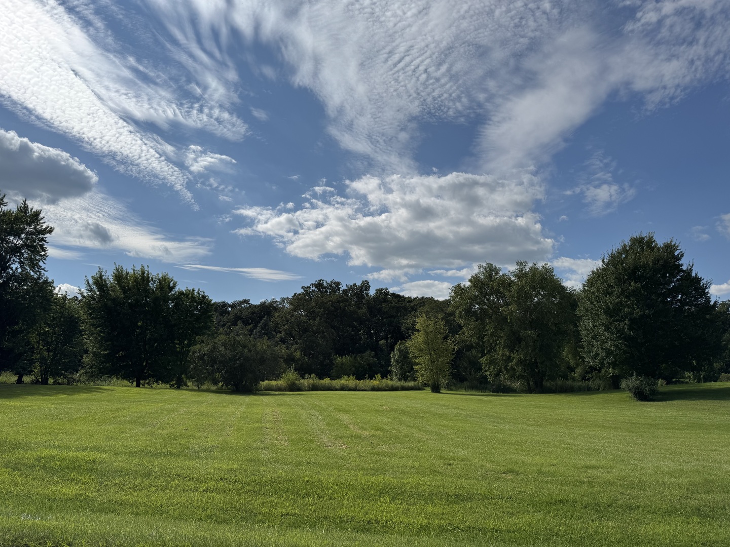 5s390 Deer Ridge Path Property Photo 3