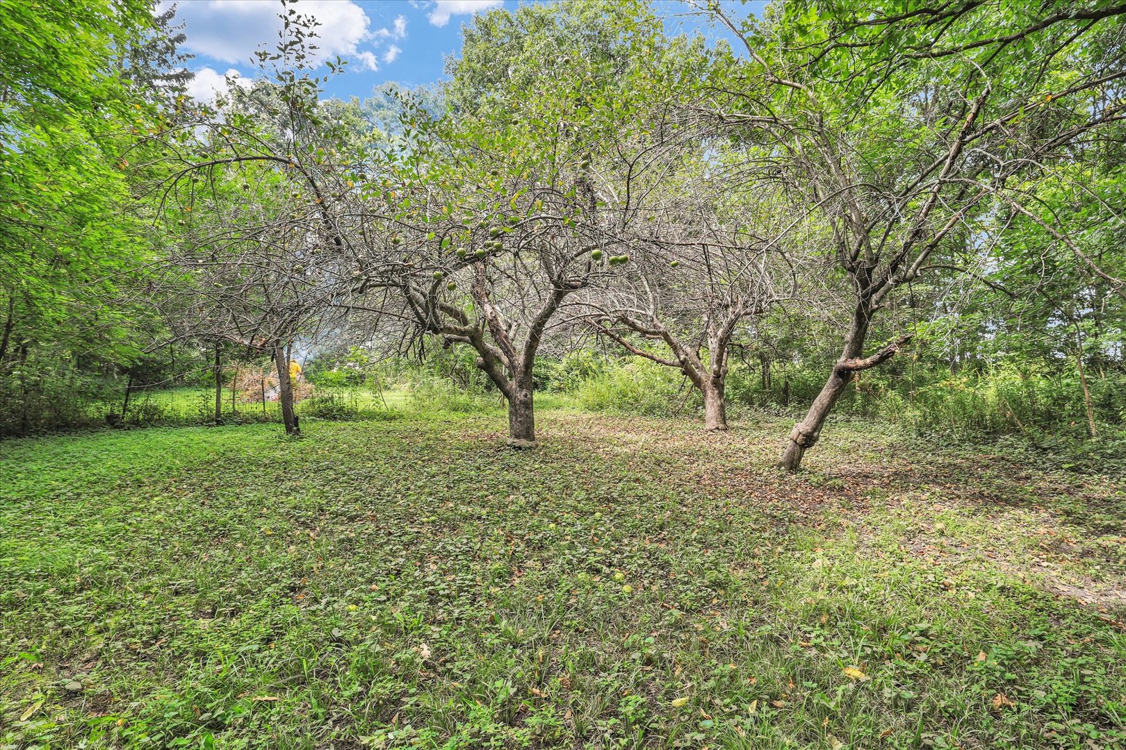 3514 N High Cross Road Property Photo 45