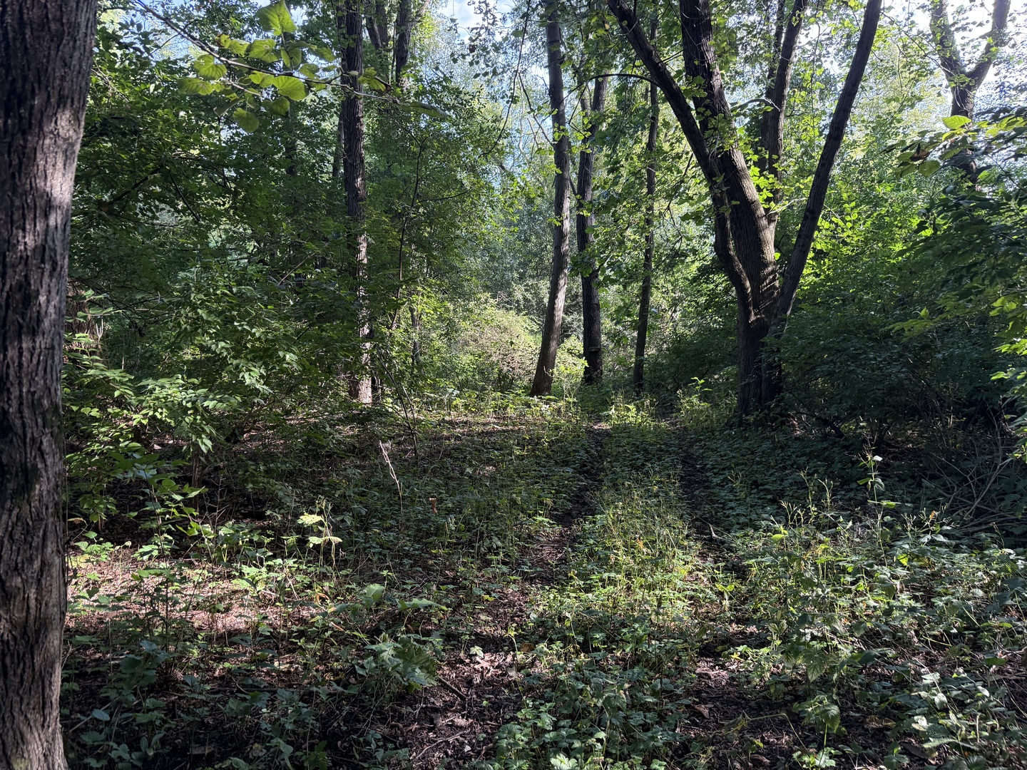 0 Prairie Hill Circle Property Photo 25