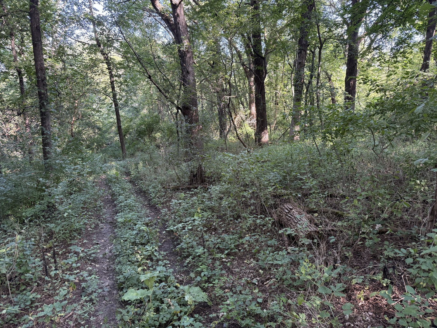 0 Prairie Hill Circle Property Photo 26