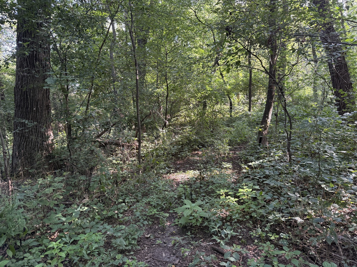 0 Prairie Hill Circle Property Photo 34