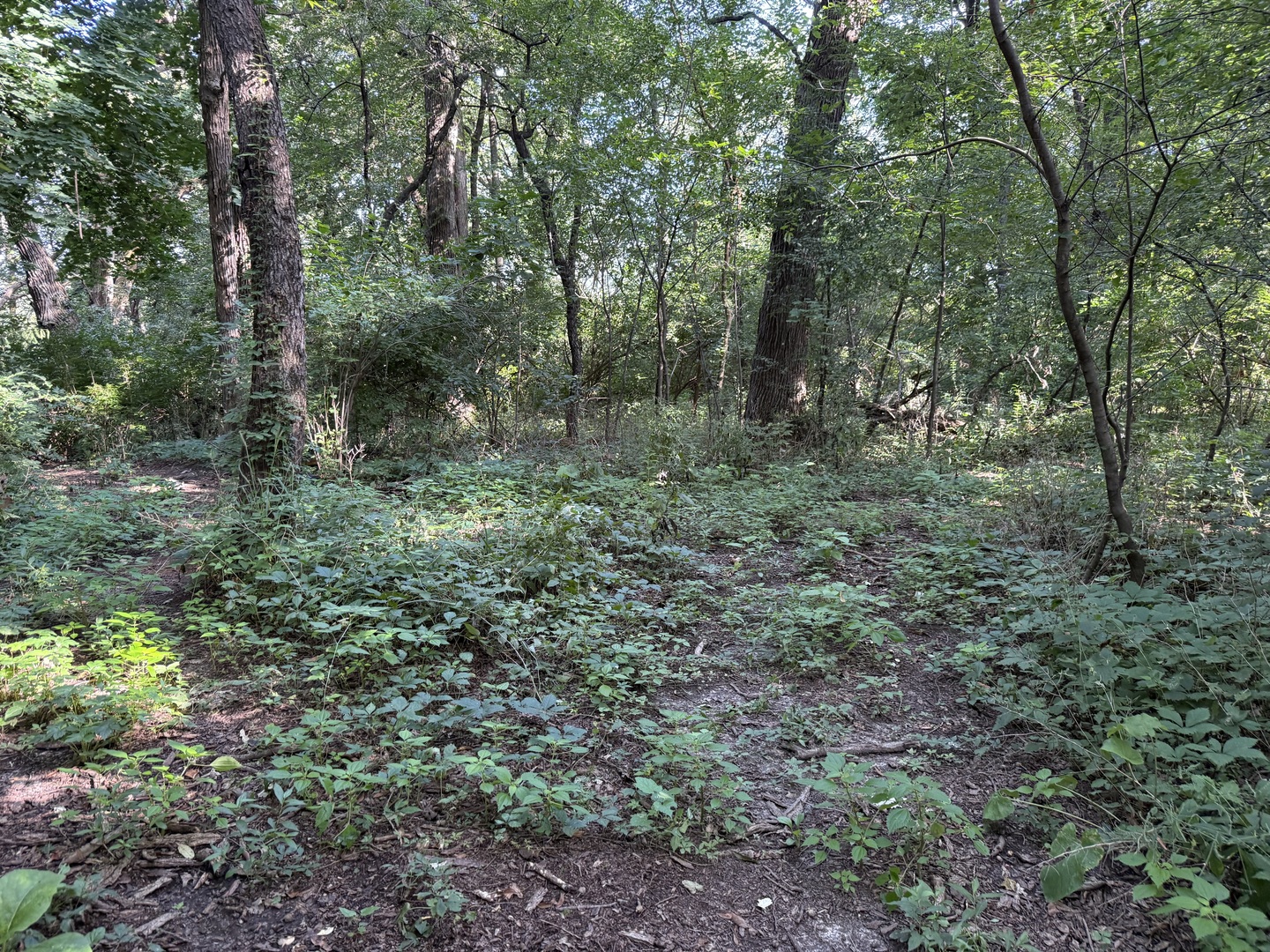0 Prairie Hill Circle Property Photo 35