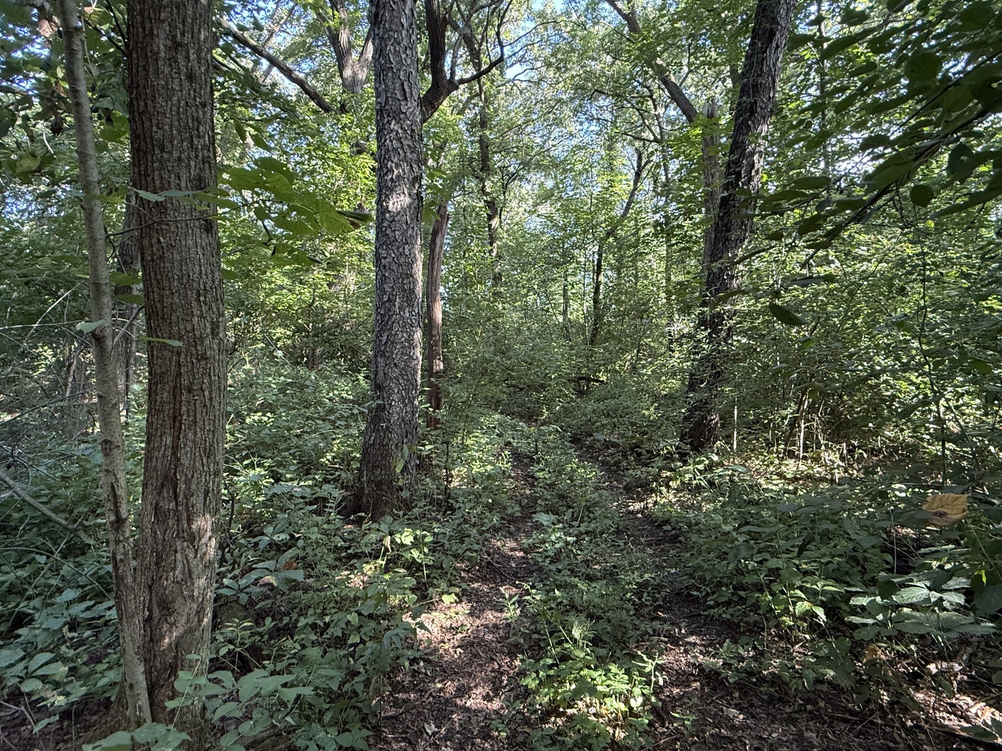 0 Prairie Hill Circle Property Photo 37