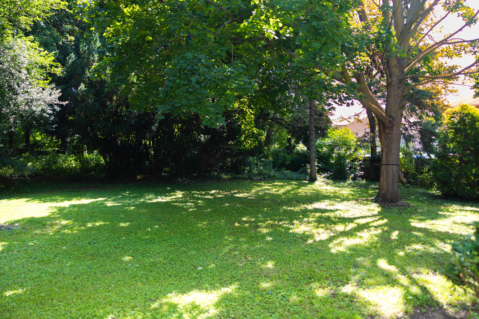 436 Russell Road Property Photo 8