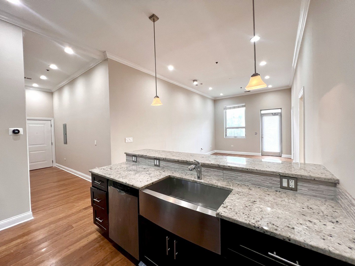 1002 W Van Buren Street 102 Property Photo 6