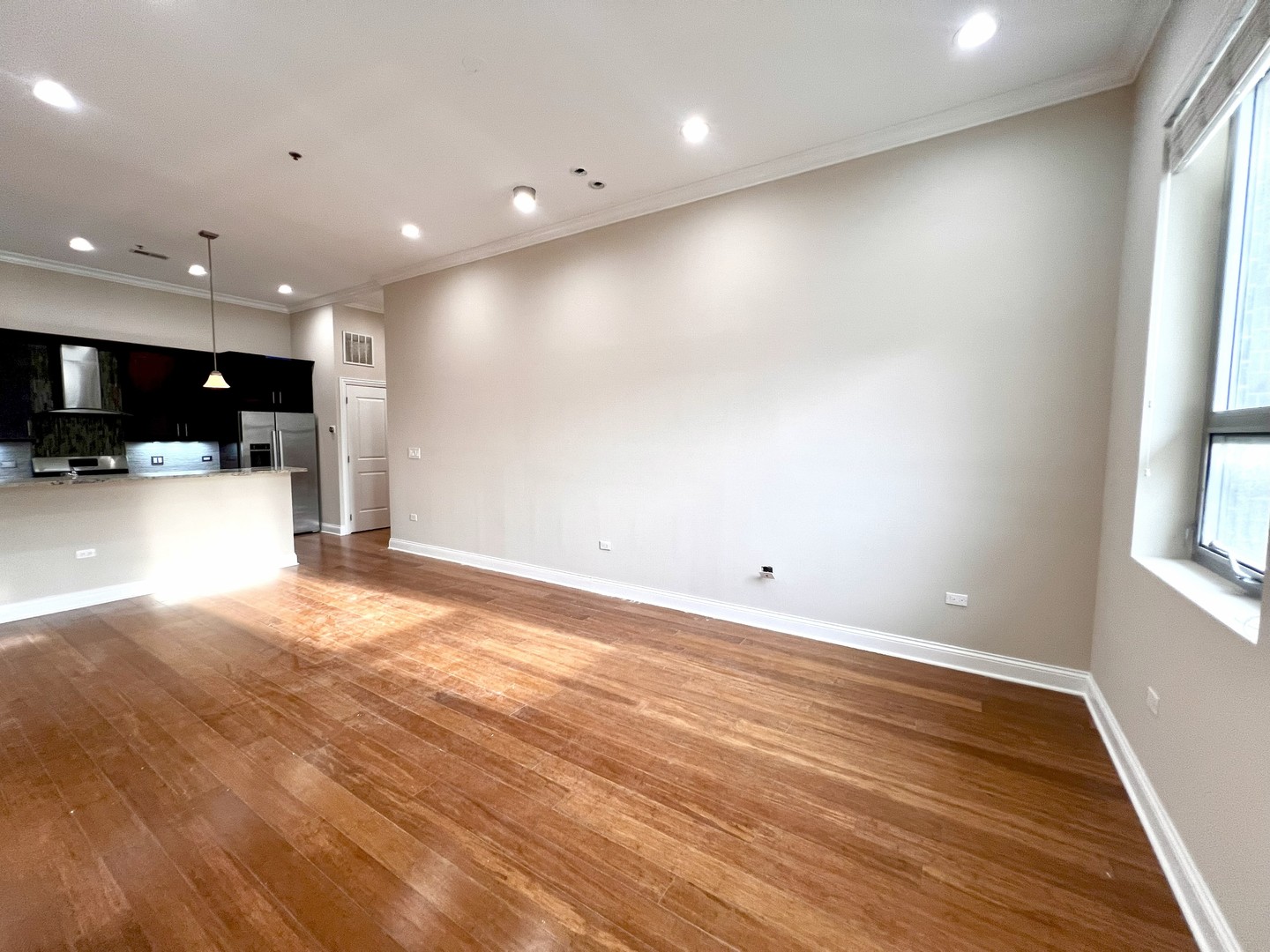 1002 W Van Buren Street 102 Property Photo 11