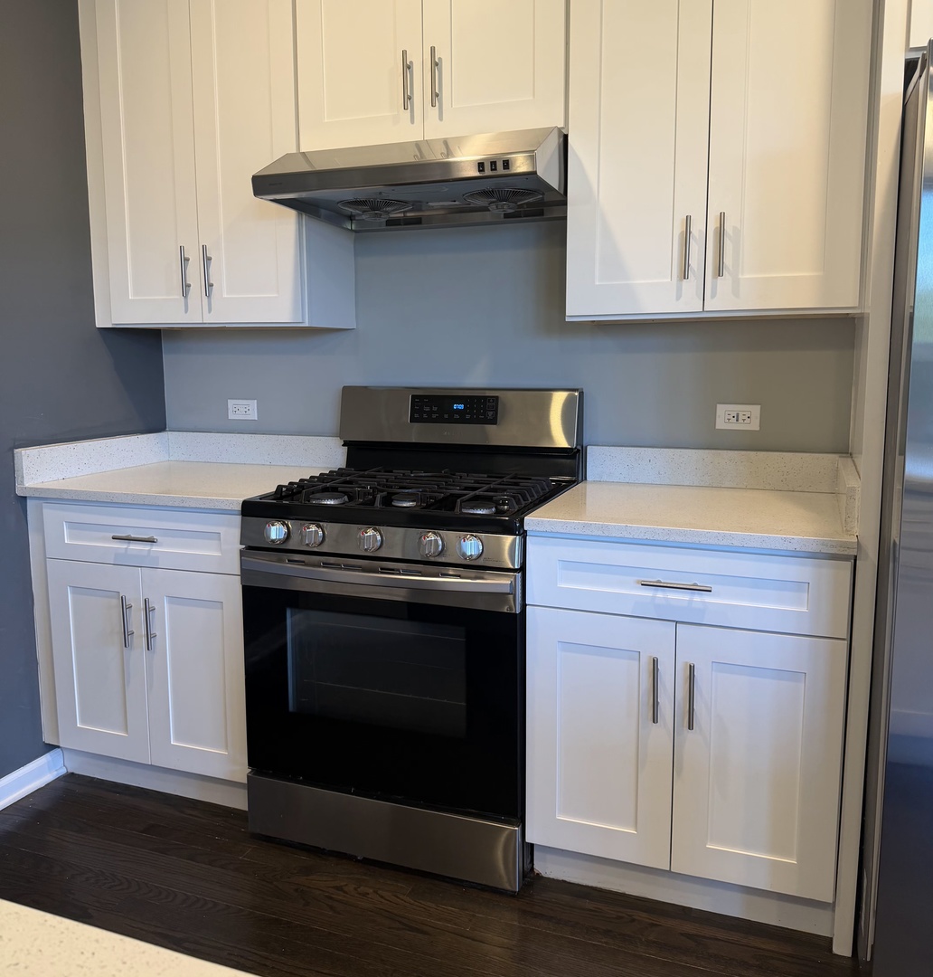 2910 S Archer Avenue 2b Property Photo 16