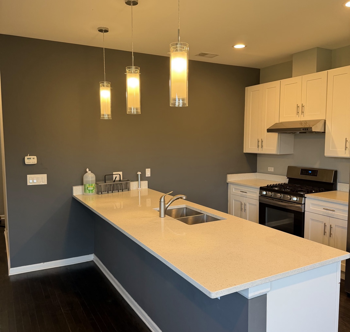 2910 S Archer Avenue 2b Property Photo 18