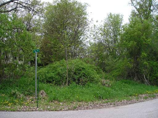 West Riverside Drive Property Photo 3