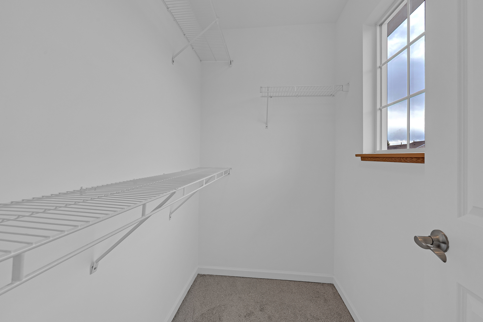 34323 N Goldenrod Road Property Photo 15
