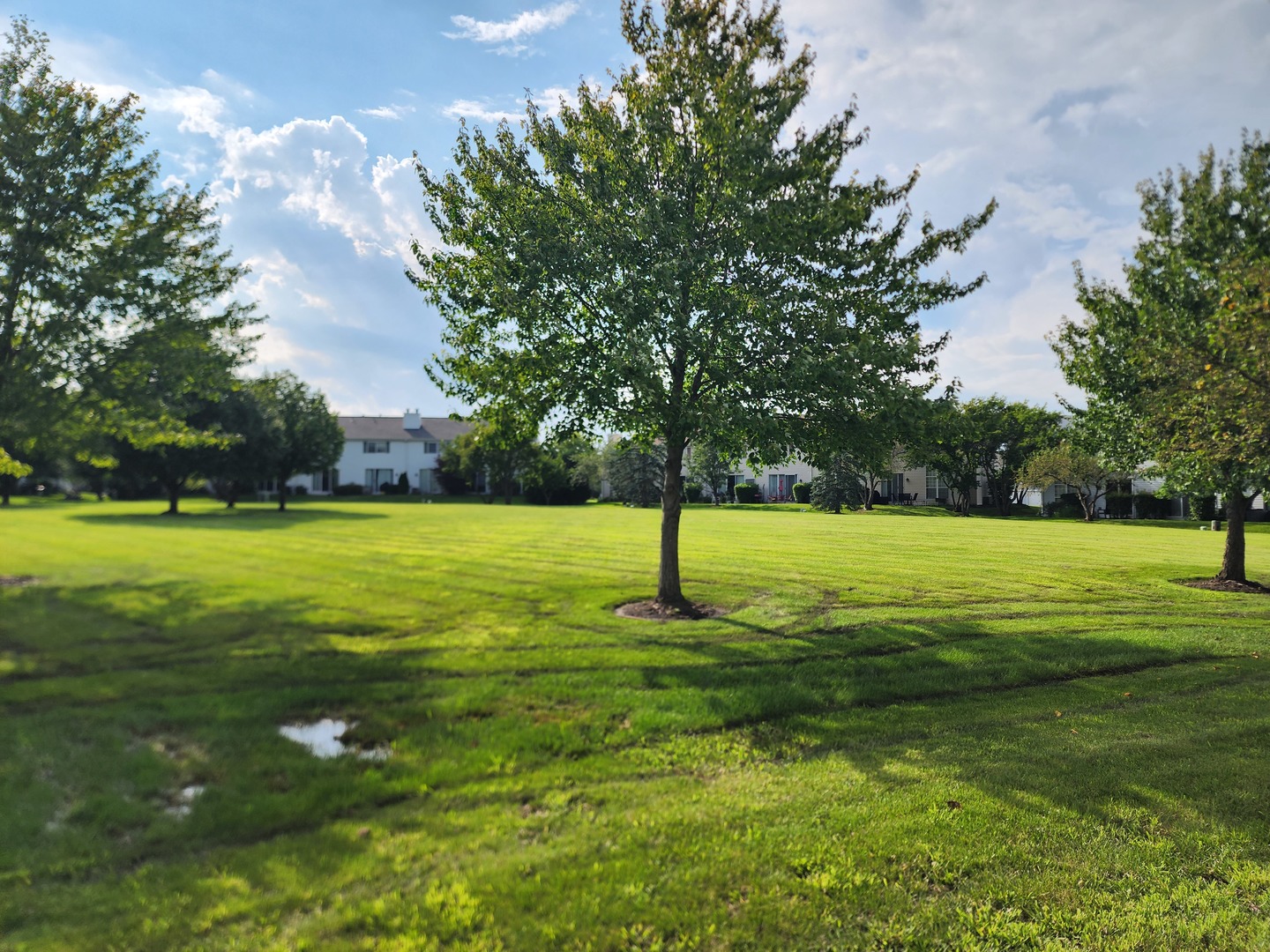 17777 W Braewick Road Property Photo 33