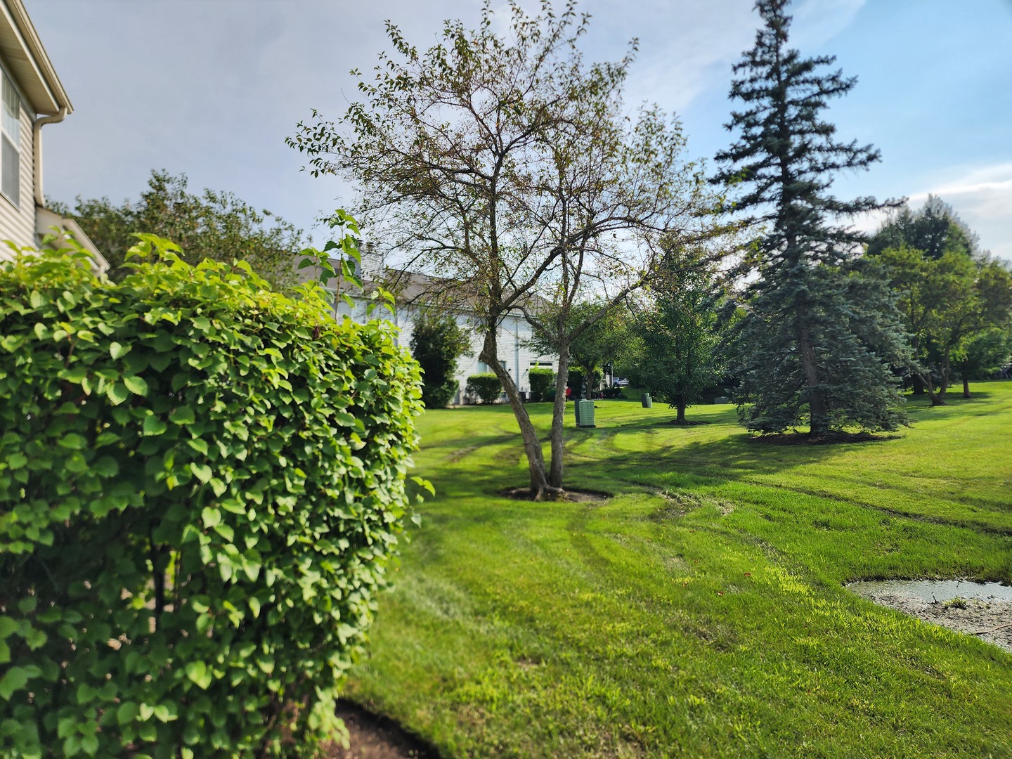 17777 W Braewick Road Property Photo 34