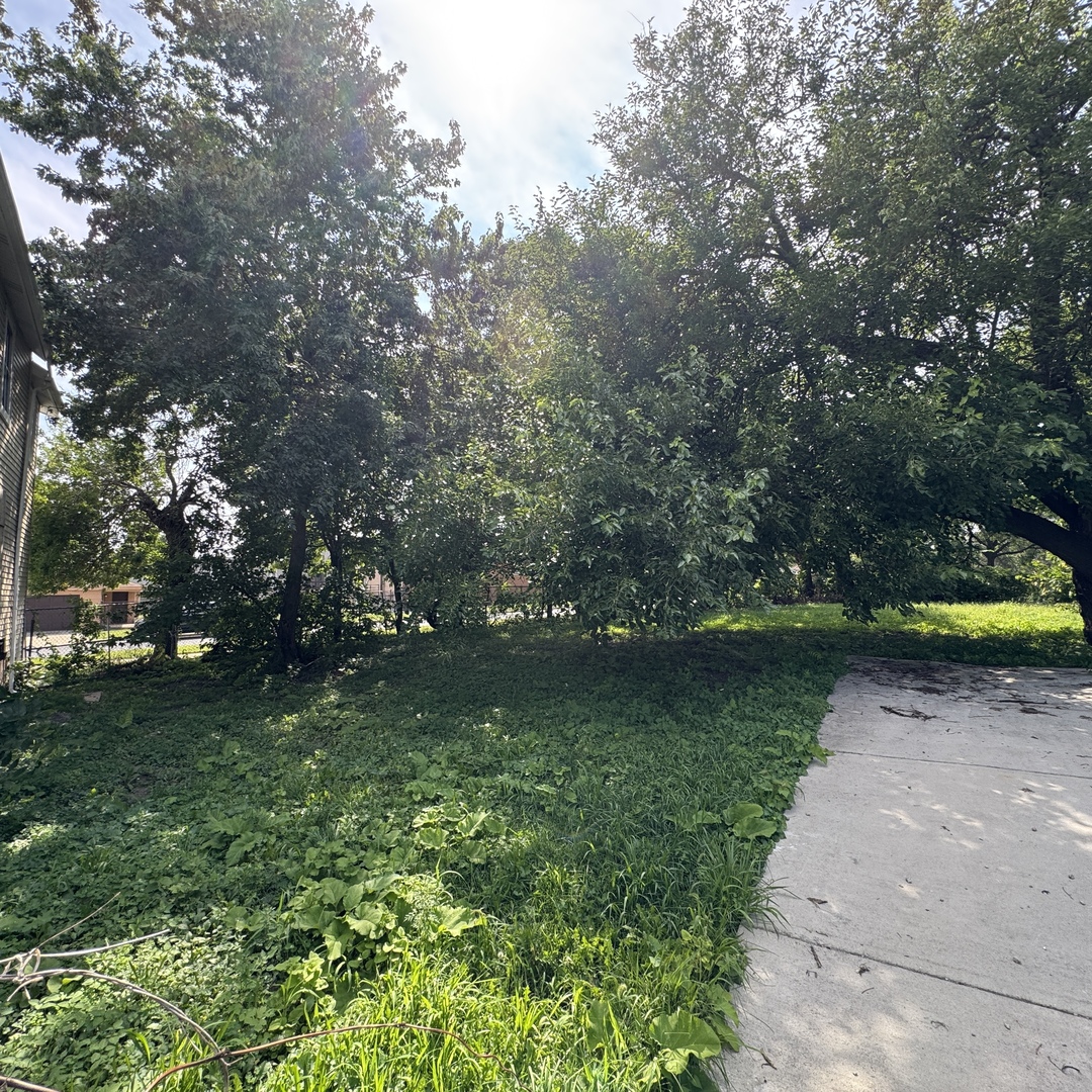 11213 S Vincennes Avenue Property Photo 4