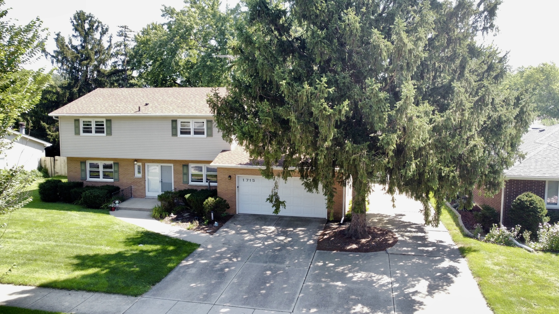 1715 Lily Street Property Photo 3