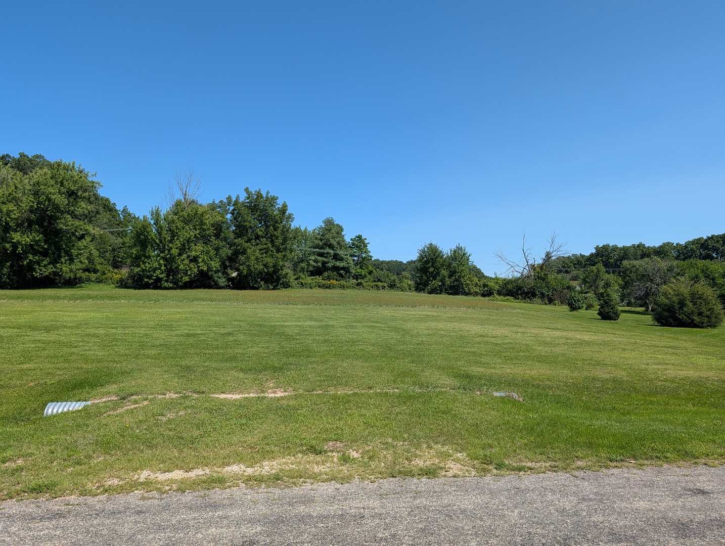 323 Forestcliff Court Property Photo 1