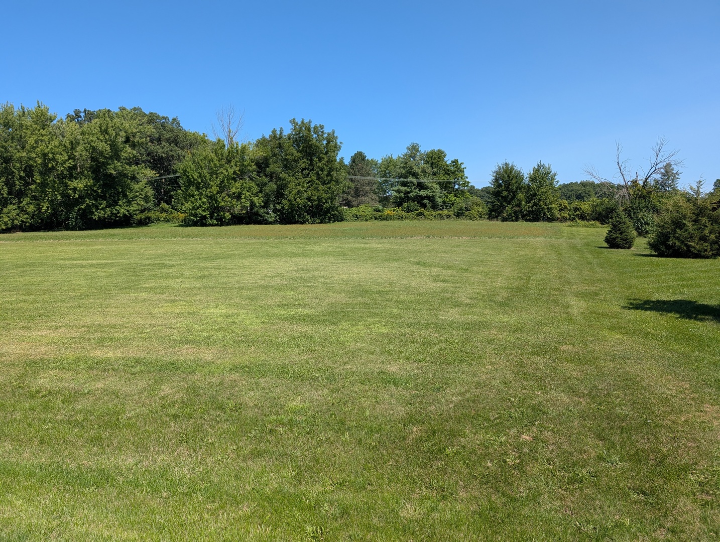 323 Forestcliff Court Property Photo 2