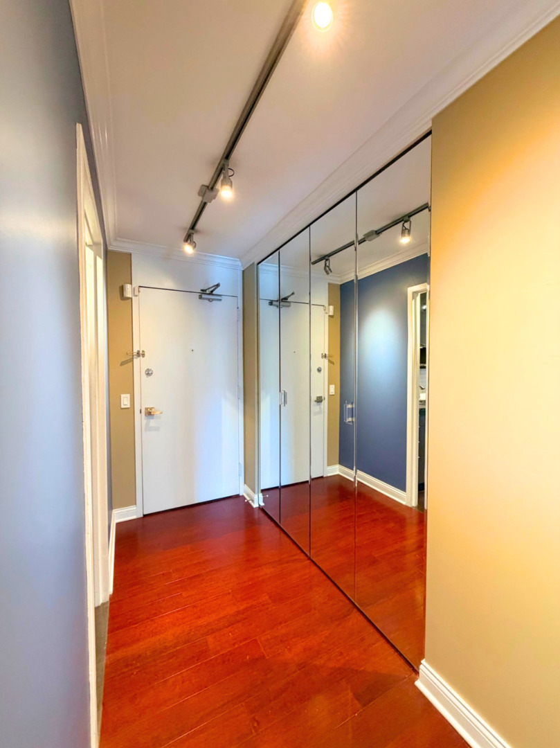 1555 N Sandburg Terrace 305k Property Photo 16